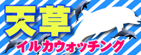 天草エアラインで行く　天草観光・イルカウォッチング