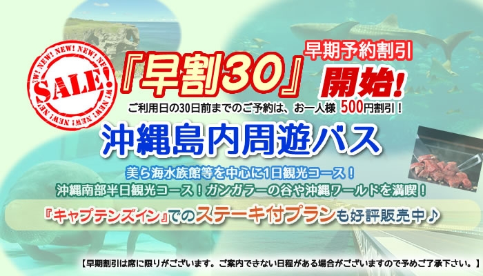 沖縄周遊バスに早期予約割引『早期30』が登場！ご利用の30日前までのご予約は、お一人様500円割引！