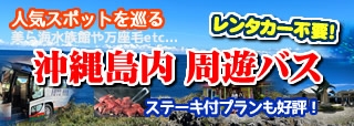 沖縄周遊バス